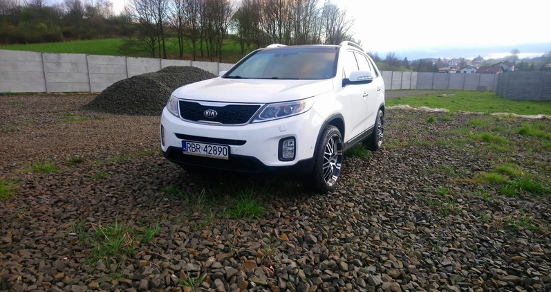 Kia Sorento cena 65900 przebieg: 187000, rok produkcji 2012 z Brzozów małe 106